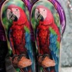tetoválás papagájok