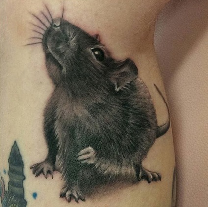 Rat tatuaj, cele mai renumite șobolani