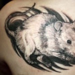 Rat tatuaj, cele mai renumite șobolani