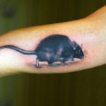 Rat tatuaj, cele mai renumite șobolani