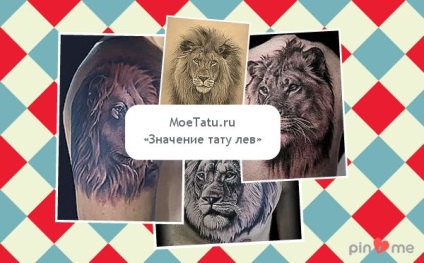 Lion Tattoo