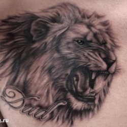 oroszlán tetoválás