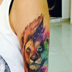 Lion Tattoo