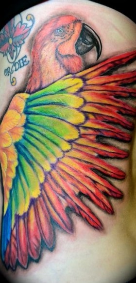 Parrot Tattoo