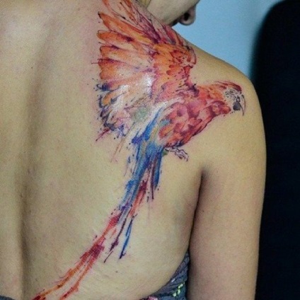 Parrot Tattoo