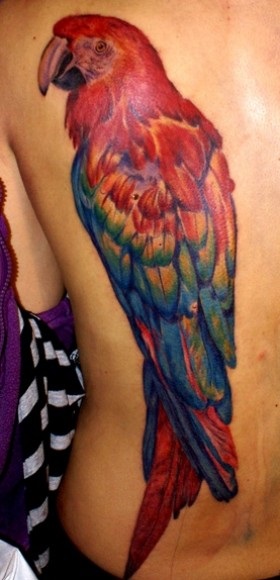 Parrot Tattoo