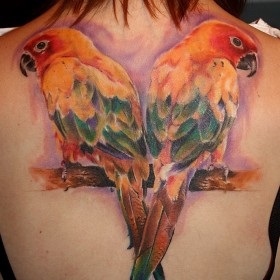 Parrot Tattoo