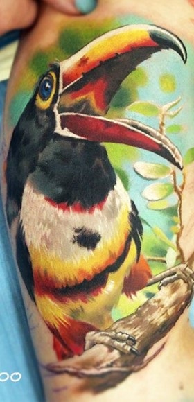 Parrot Tattoo