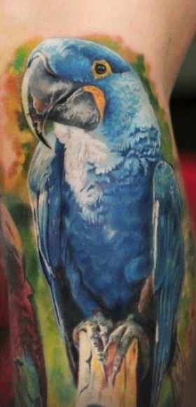 Parrot Tattoo