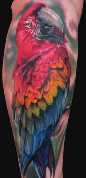 Parrot Tattoo