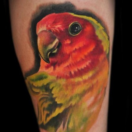 Parrot Tattoo