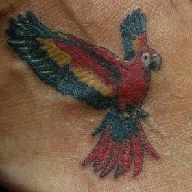 Parrot Tattoo