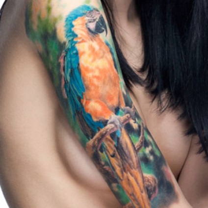 Parrot Tattoo