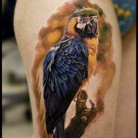 Parrot Tattoo