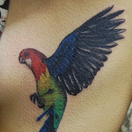 Parrot Tattoo