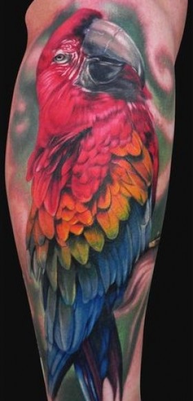 Parrot Tattoo