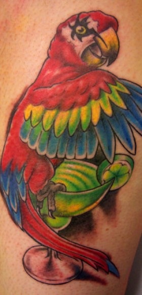 Parrot Tattoo