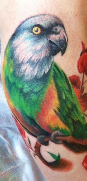 Parrot Tattoo