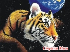 Tigrul este mascota anului 2010 - țara-mamă