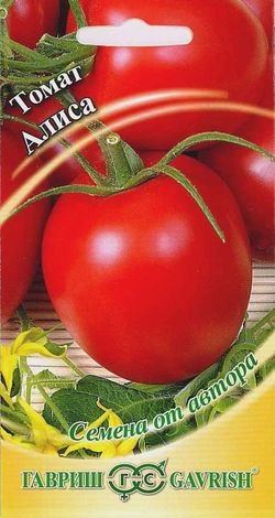 Alice de tomate (alice) Descrierea varietății, caracteristici și recenzii