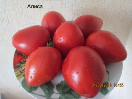 Alice de tomate (alice) Descrierea varietății, caracteristici și recenzii