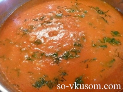 Supă de roșii cu carne tocată, rețete cu fotografie