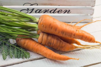 Hrănirea cu succes a legumelor cum să păstreze morcovii