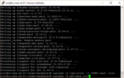 Instalarea otrs pe serverul ubuntu, vmkh
