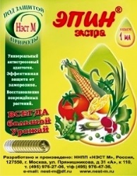 Dezvoltăm patchouli exotice și subtilitățile cultivării sale 3406