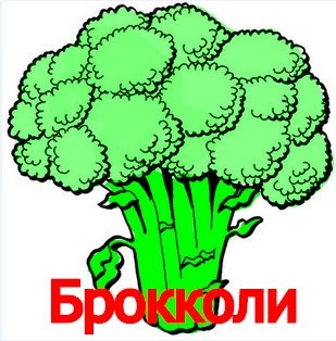 Cultivarea broccoli de varză