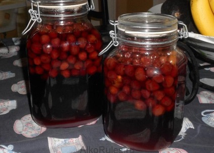 Cherry tincture pe rețete de vodcă, alcool sau lună