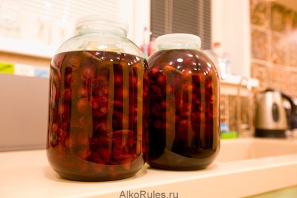 Cherry tincture pe rețete de vodcă, alcool sau lună