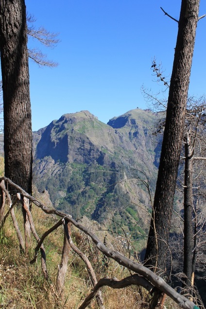 Vivat, Madeira, călătoriile noastre), un forum de călătorie