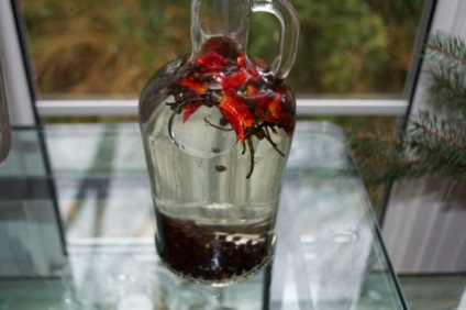 Vodka borssal és mézzel hideg (paprika) Vodka borssal és mézzel megfázás