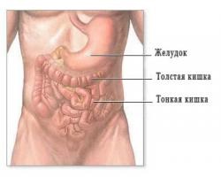 Întrebarea despre ce infecții intestinale sunt transmise sexual