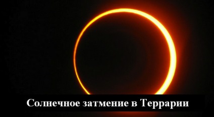 Totul despre eclipsa soarelui din terariu, terariu (terraria)