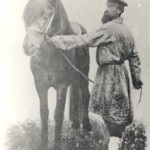 Vyatka rasa de cai fotografie, istorie și descriere