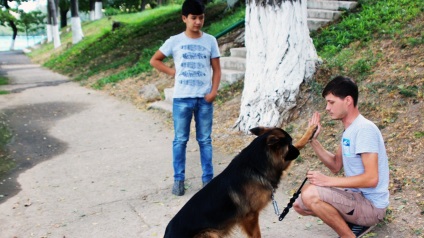 Husky és hatalmas kutyák a kutyakiállításon Taskent