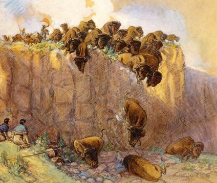 Trucurile de vânătoare primitivă sau cum se face o turmă de bivoliță sară în abis