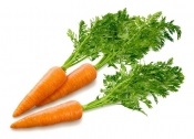Depozitarea morcovilor