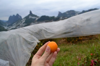 Yangshuo este un mic oraș în dealuri