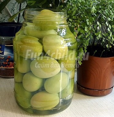 Green Tomatoes for Winter - rețete cu fotografii