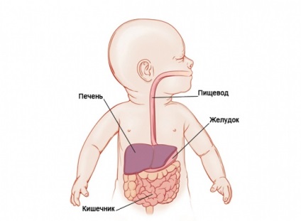 Icterul copilului