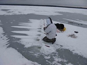 Téli sügér délre Ladoga-tó