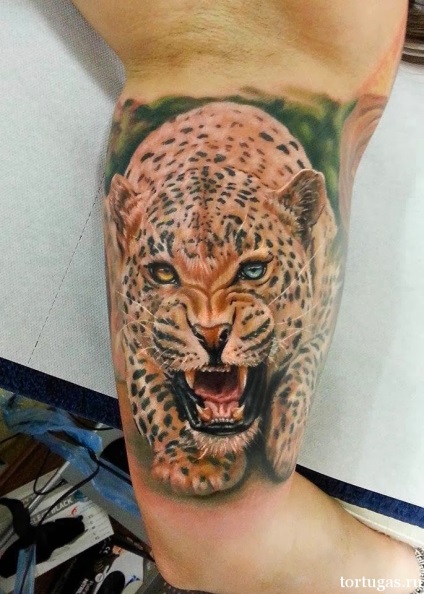 Semnificația unui tatuaj de ghepard, valoarea unui ghepard de tatuaj, un salon de tatuaj - un tartuga - 24 de ore