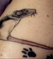 Înțeles rat tattoo meaning, story, photo, sketches of drawings