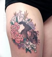 Înțeles rat tattoo meaning, story, photo, sketches of drawings