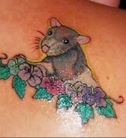 Înțeles rat tattoo meaning, story, photo, sketches of drawings