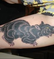 Înțeles rat tattoo meaning, story, photo, sketches of drawings