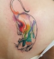 Înțeles rat tattoo meaning, story, photo, sketches of drawings